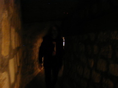 Steve walking in the darkness