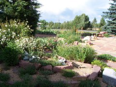 Garden_30